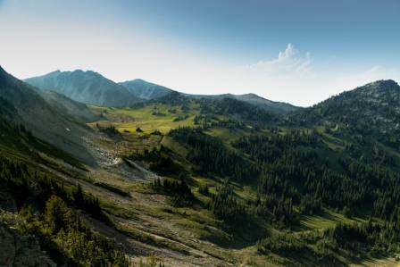 5 Most Awe-Inspiring National Forests in the United States
