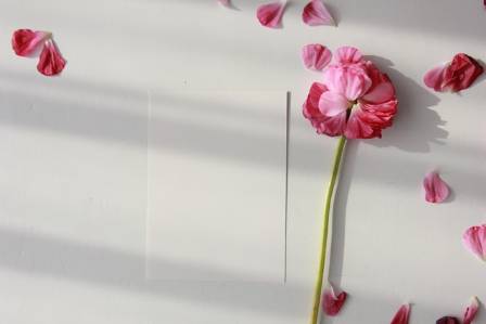 Easy 3D Paper Flowers | No Cricut Needed!