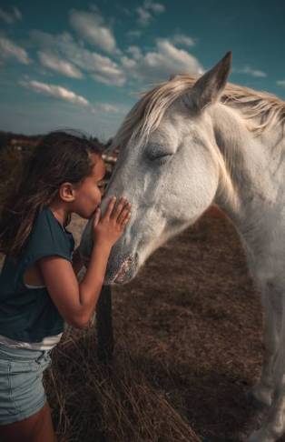 Why Horses Make Exceptional Companions: Unveiling the Joys of Equine Friendship