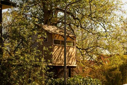 Experience 5 Most Magic of Tree House Hotels Worldwide