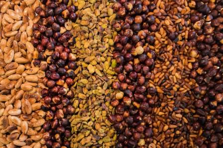 Facts about Pine Nuts