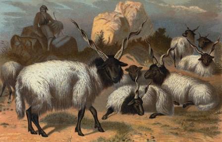 Top 7 Masterpieces Depicting Shepherd Life